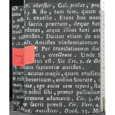 IL VOCABOLARIO DEL 2000