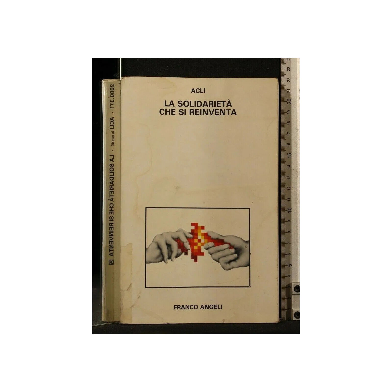 LA SOLIDARIETA' CHE SI REINVENTA. ACLI. FRANCOANGELI.