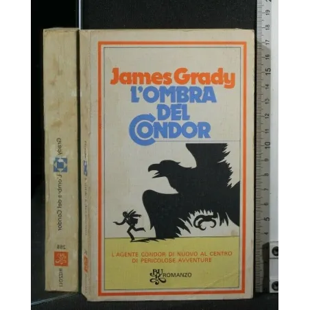 L'OMBRA DEL CONDOR