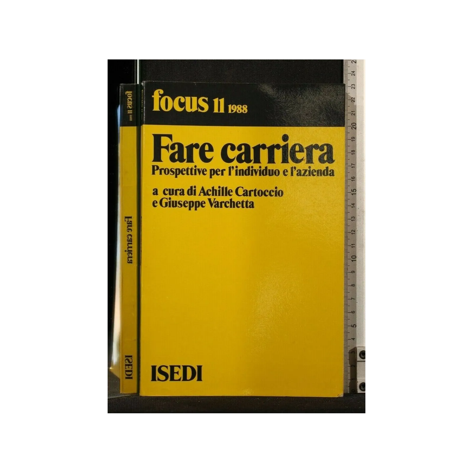 FARE CARRIERA. PROSPETTIVE PER L'INDIVIDUO E L'AZIENDA. AA.VV.