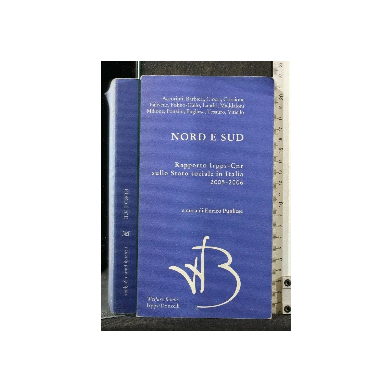 NORD E SUD. RAPPORTO IRPPS-CNR SULLO STATO SOCIALE IN ITALIA