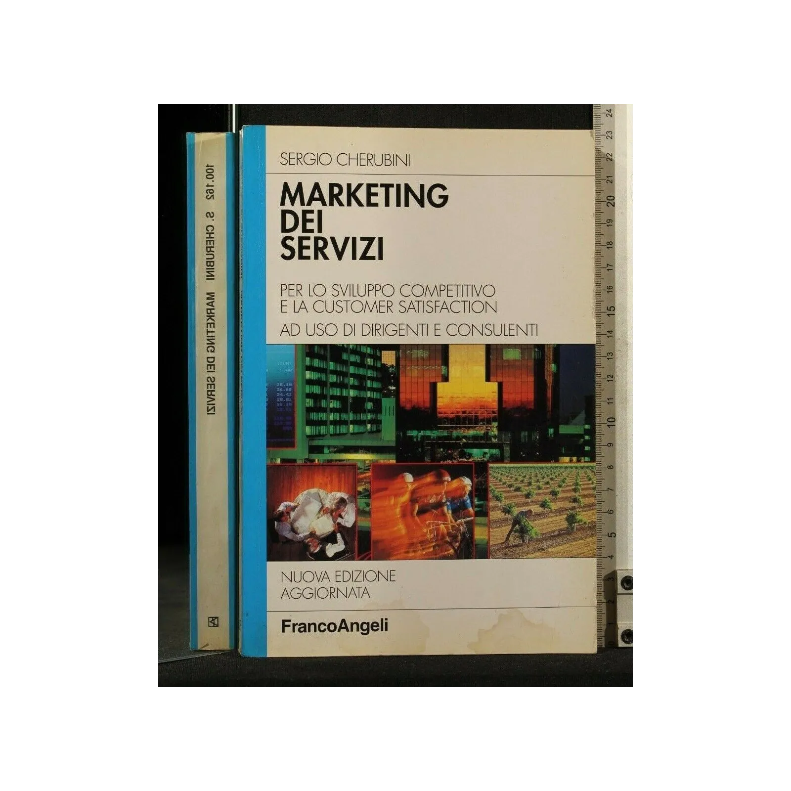 MARKETING DEI SERVIZI. SERGIO CHERUBINI. FRANCO ANGELI.