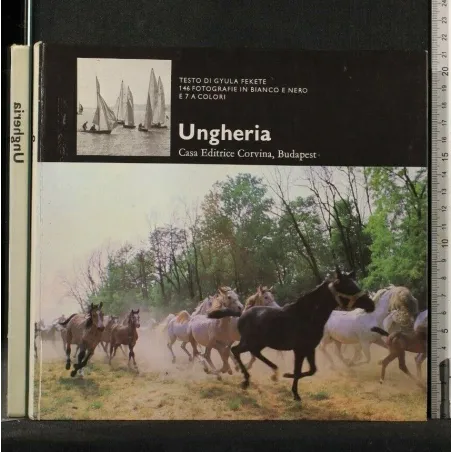 UNGHERIA