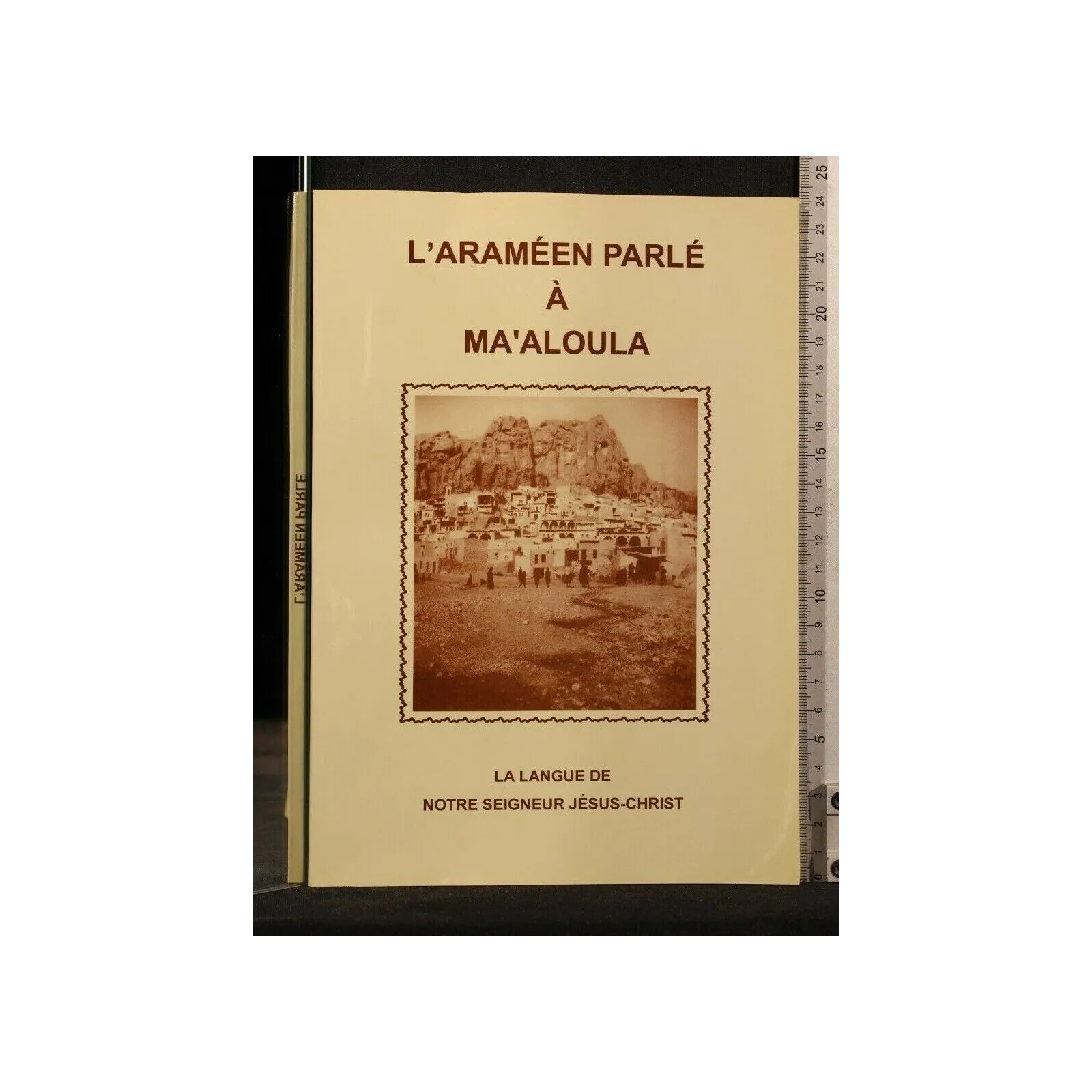 L'ARAMEEN PARLE' A' MA'ALOULA