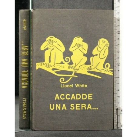 ACCADE UNA SERA...