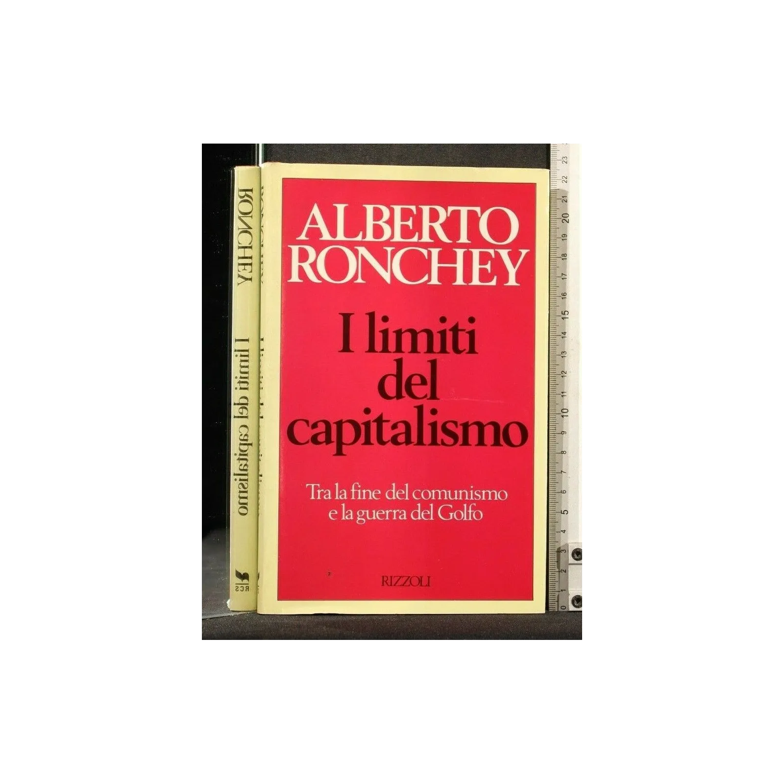 I LIMITI DEL CAPITALISMO