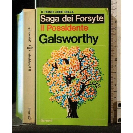 IL POSSIDENTE IL PRIMO LIBRO DELLA SAGA DEI FORSYTE