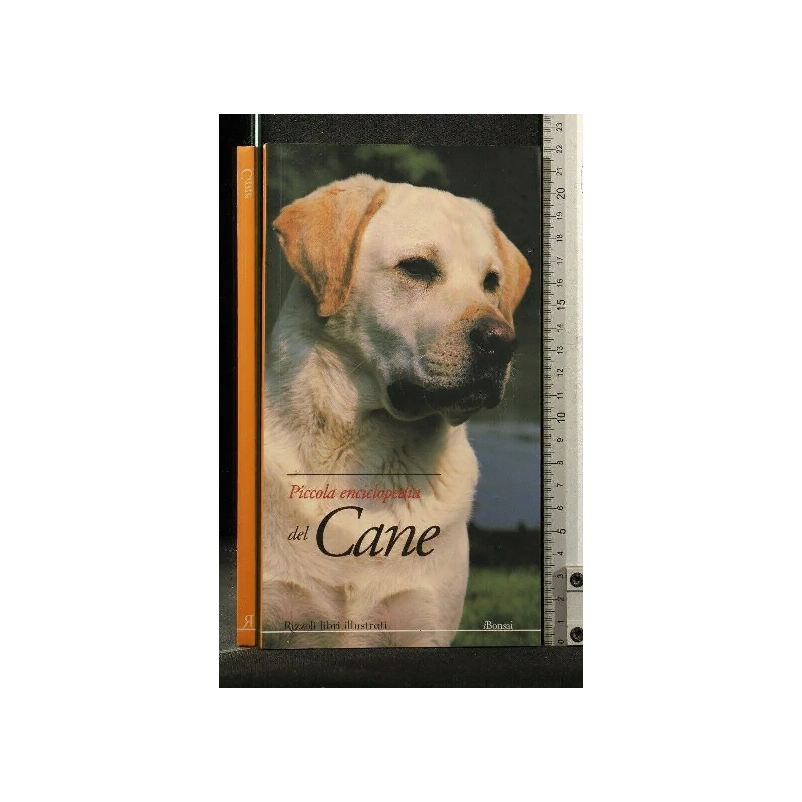 PICCOLA ECNCICLOPEDIA DEL CANE