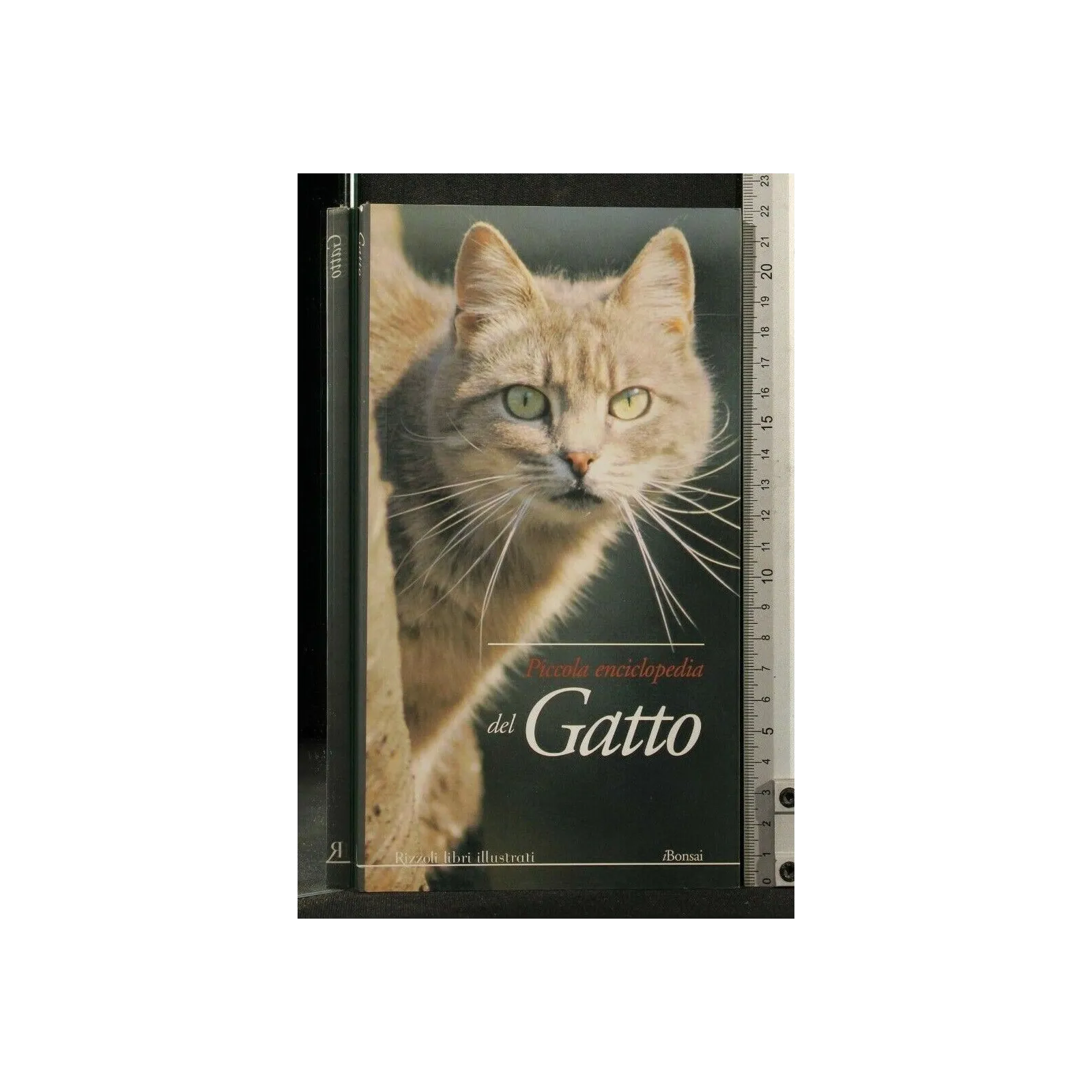 PICCOLA ECNCICLOPEDIA DEL GATTO