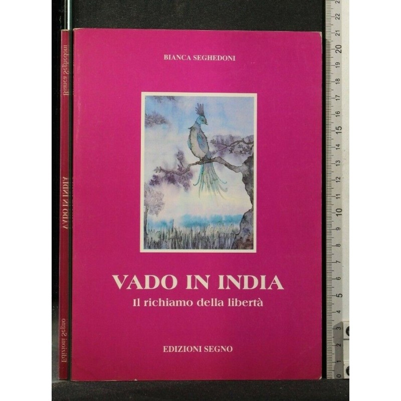 VADO IN INDIA IL RICHIAMO DELLA LIBERTA'