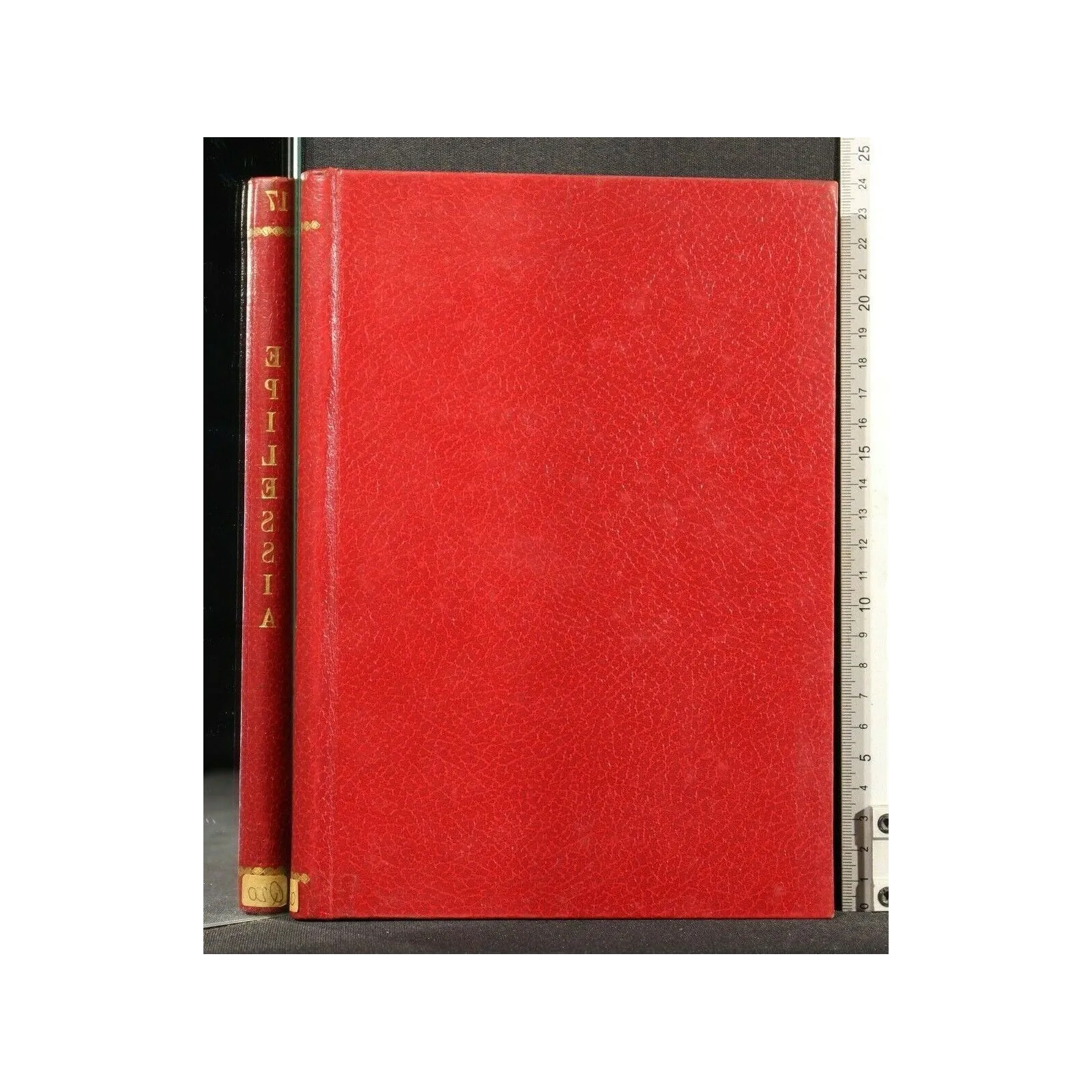 ATTI DEL XVI CONGRESSO NAZIONALE DI NEUROLOGIA (ROMA, 23-26