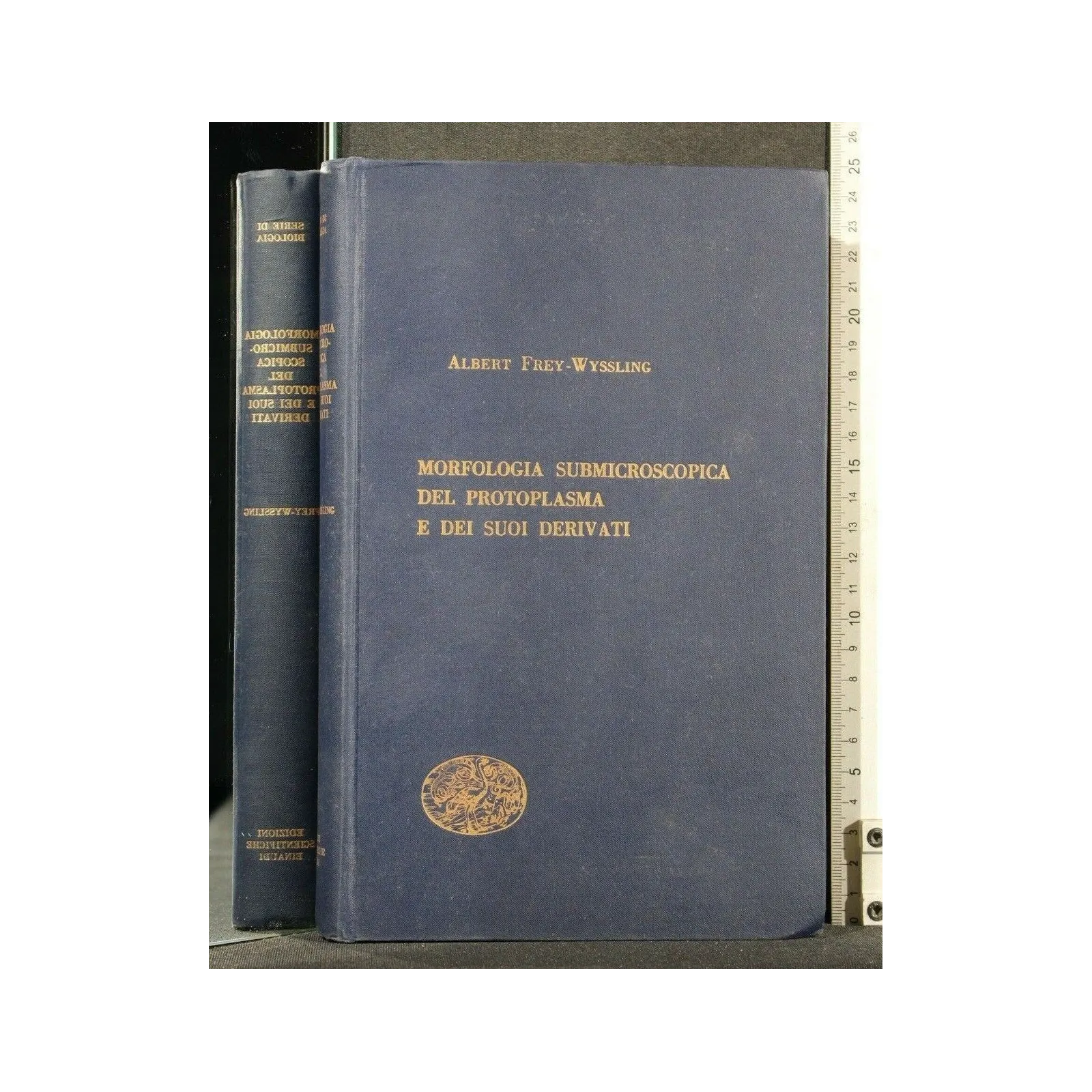 MORFOLOGIA SUBMICROSCOPICA DEL PROTOPLASMA E DEI SUOI DERIVATI