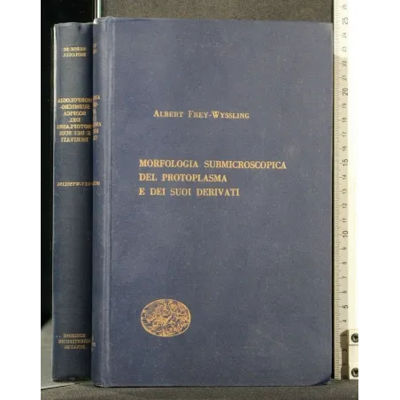 MORFOLOGIA SUBMICROSCOPICA DEL PROTOPLASMA E DEI SUOI DERIVATI