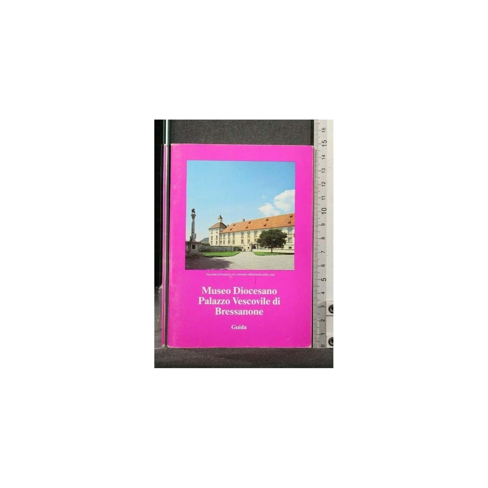 MUSEO DIOCESANO PALAZZO VESCOVILE DI BRESSANONE GUIDA