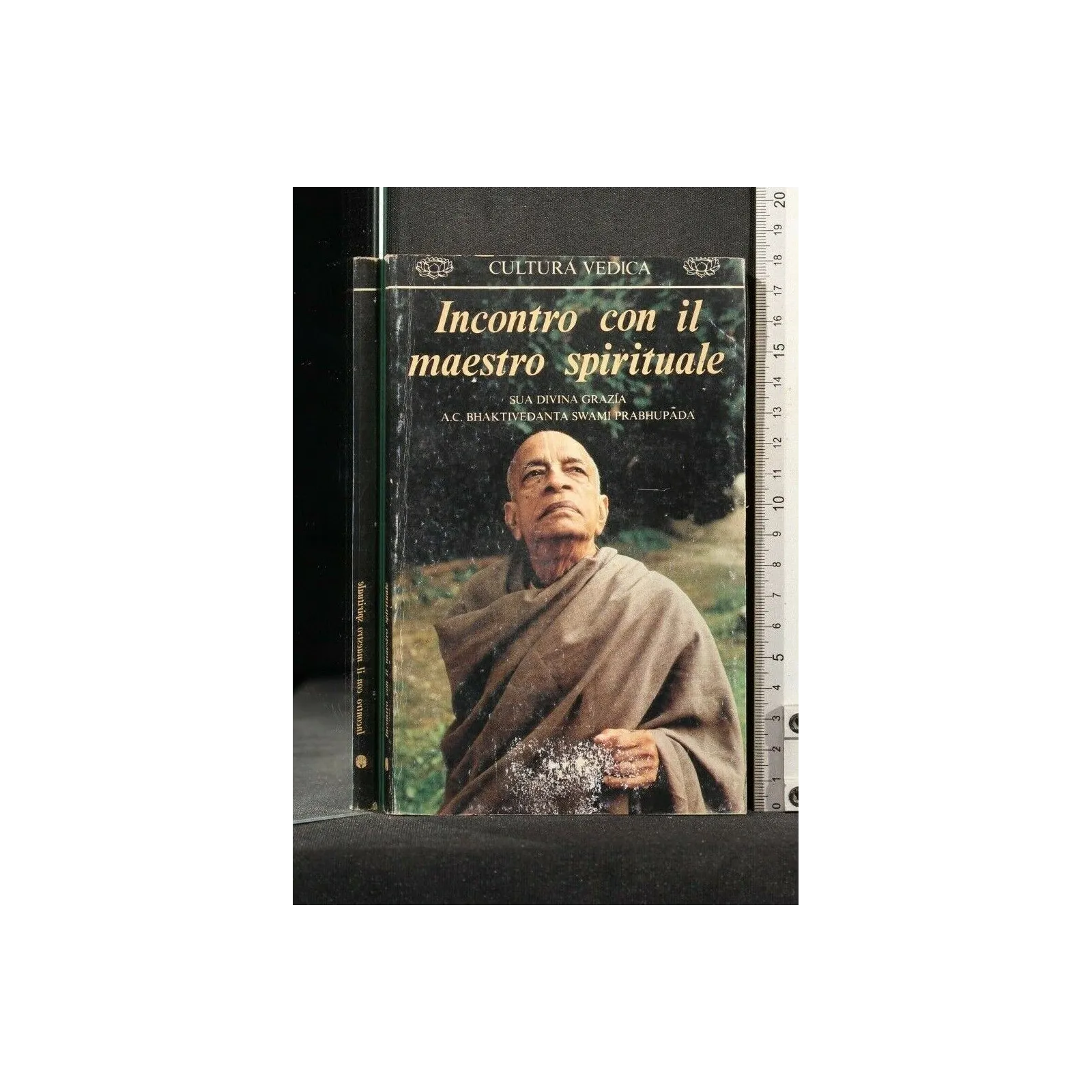 INCONTRO CON IL MAESTRO SPIRITUALE