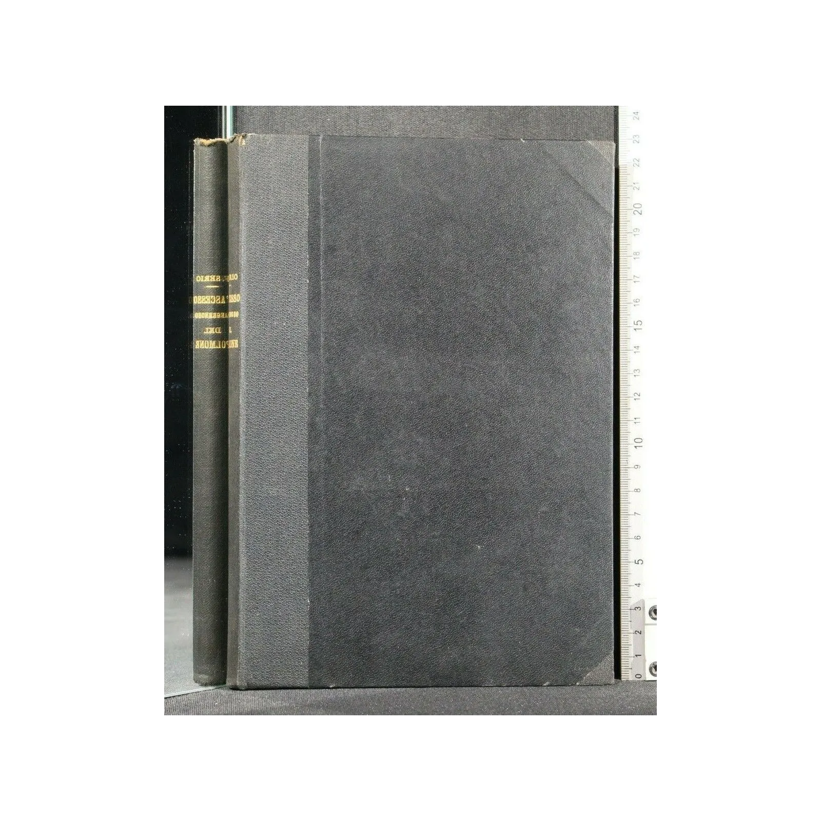 L'ASCESSO GANGRENOSO DEL POLMONE