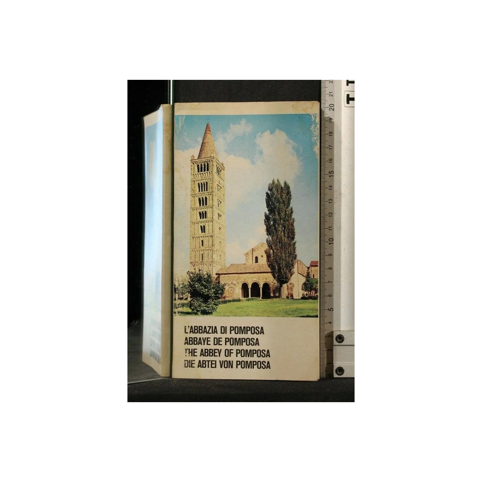 L'ABBAZIA DI POMPOSA