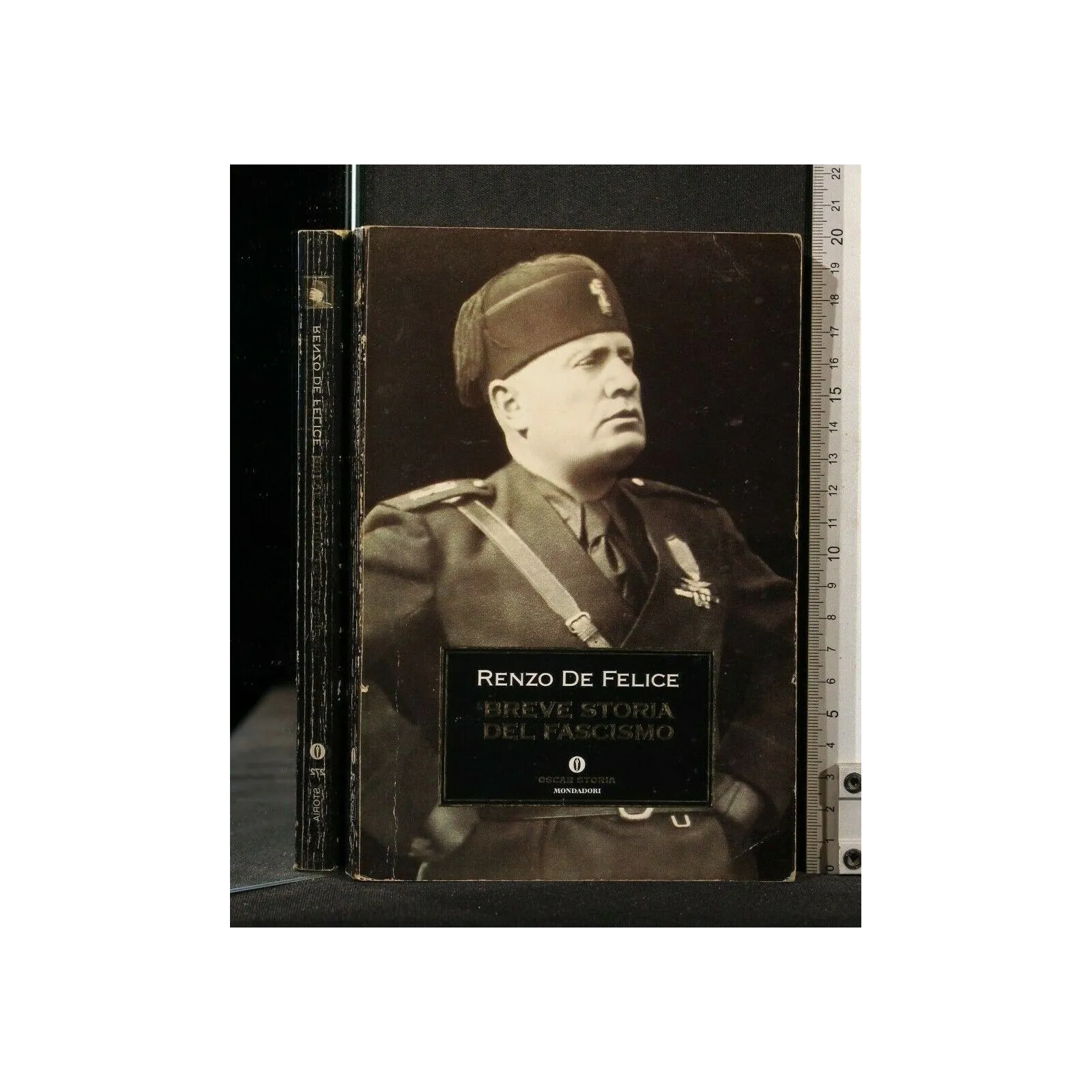 BREVE STORIA DEL FASCISMO