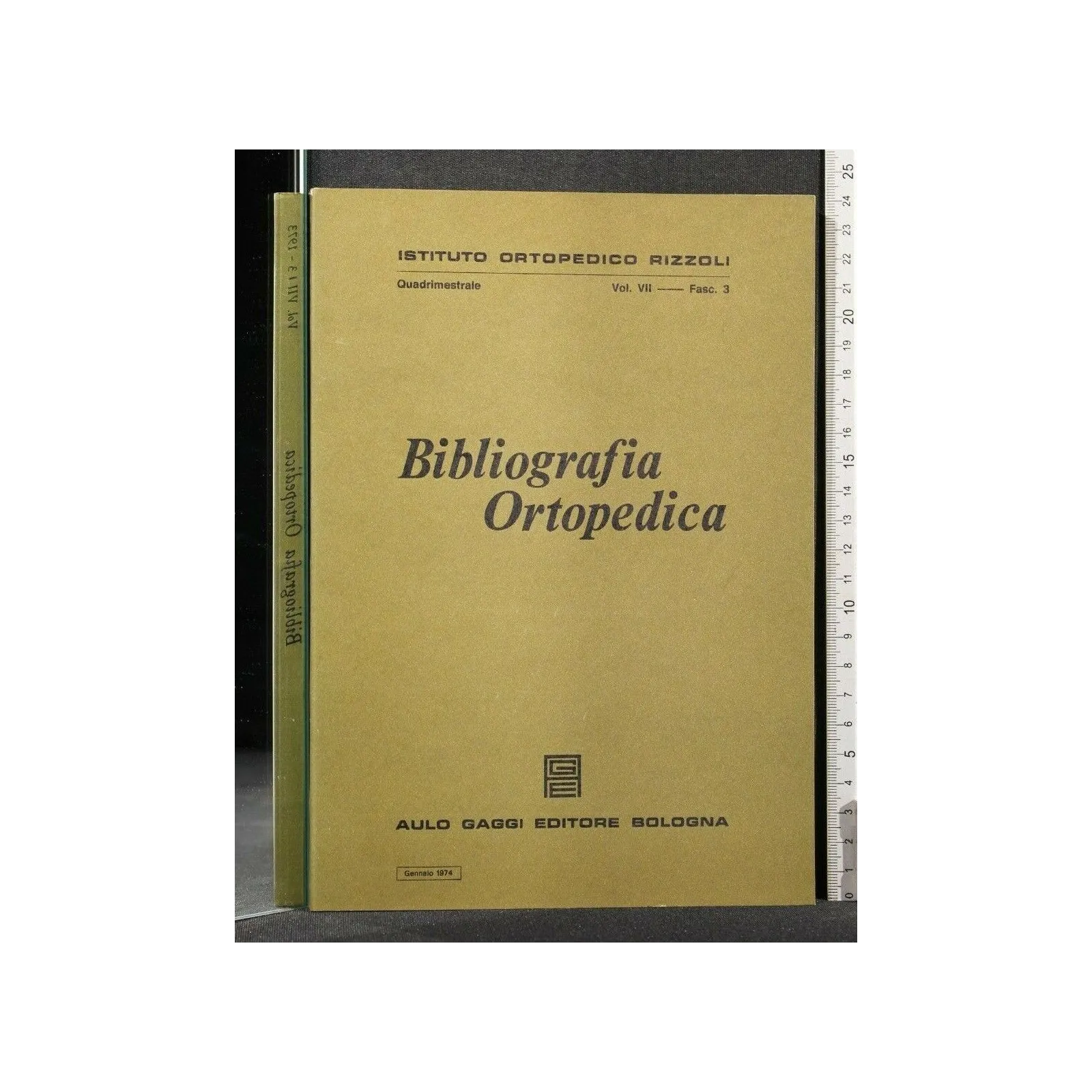 BIBLIOGRAFIA ORTOPEDICA VOL VII FASC 3 GENNAIO 1974
