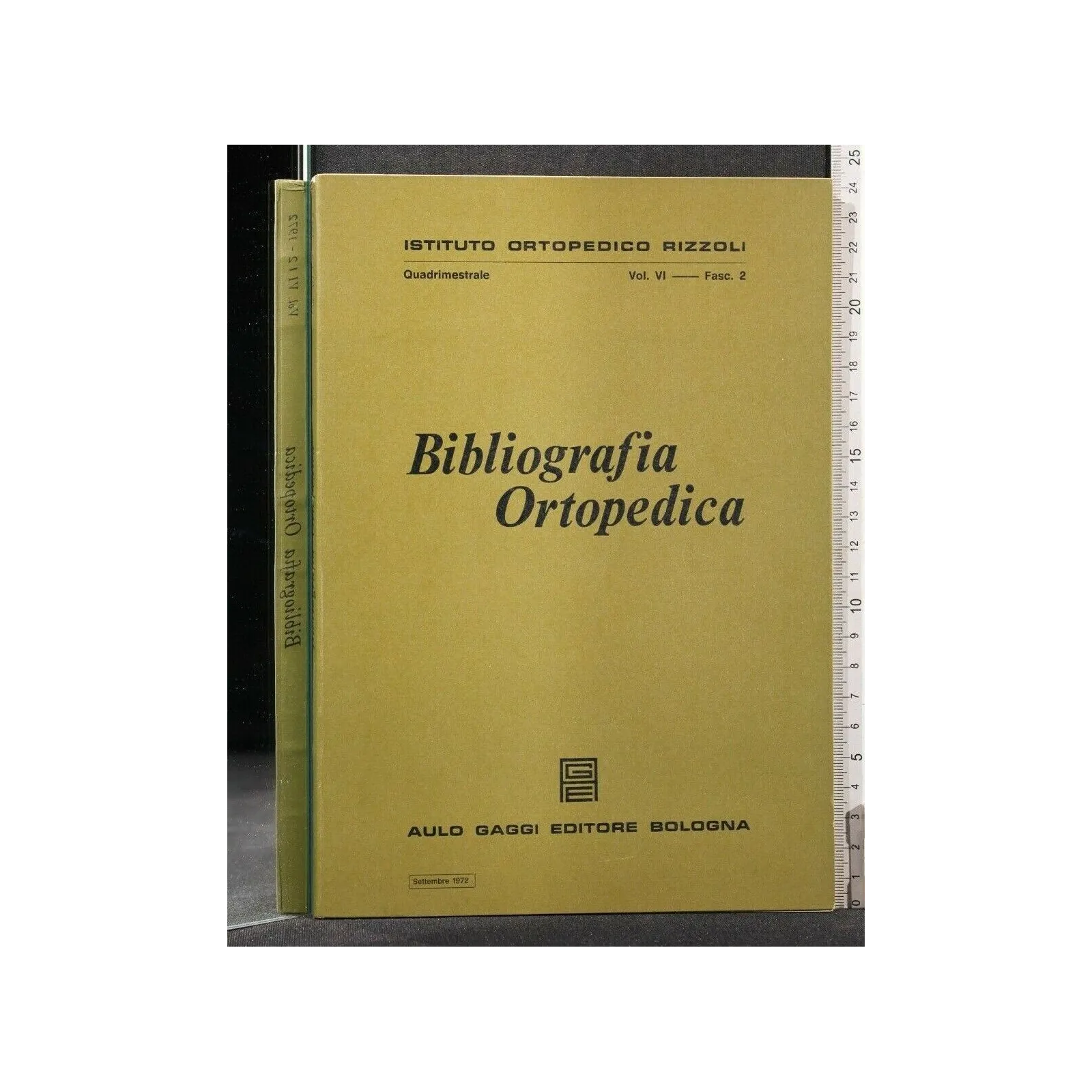 BIBLIOGRAFIA ORTOPEDICA VOL VI FASC 2 SETTEMBRE 1972