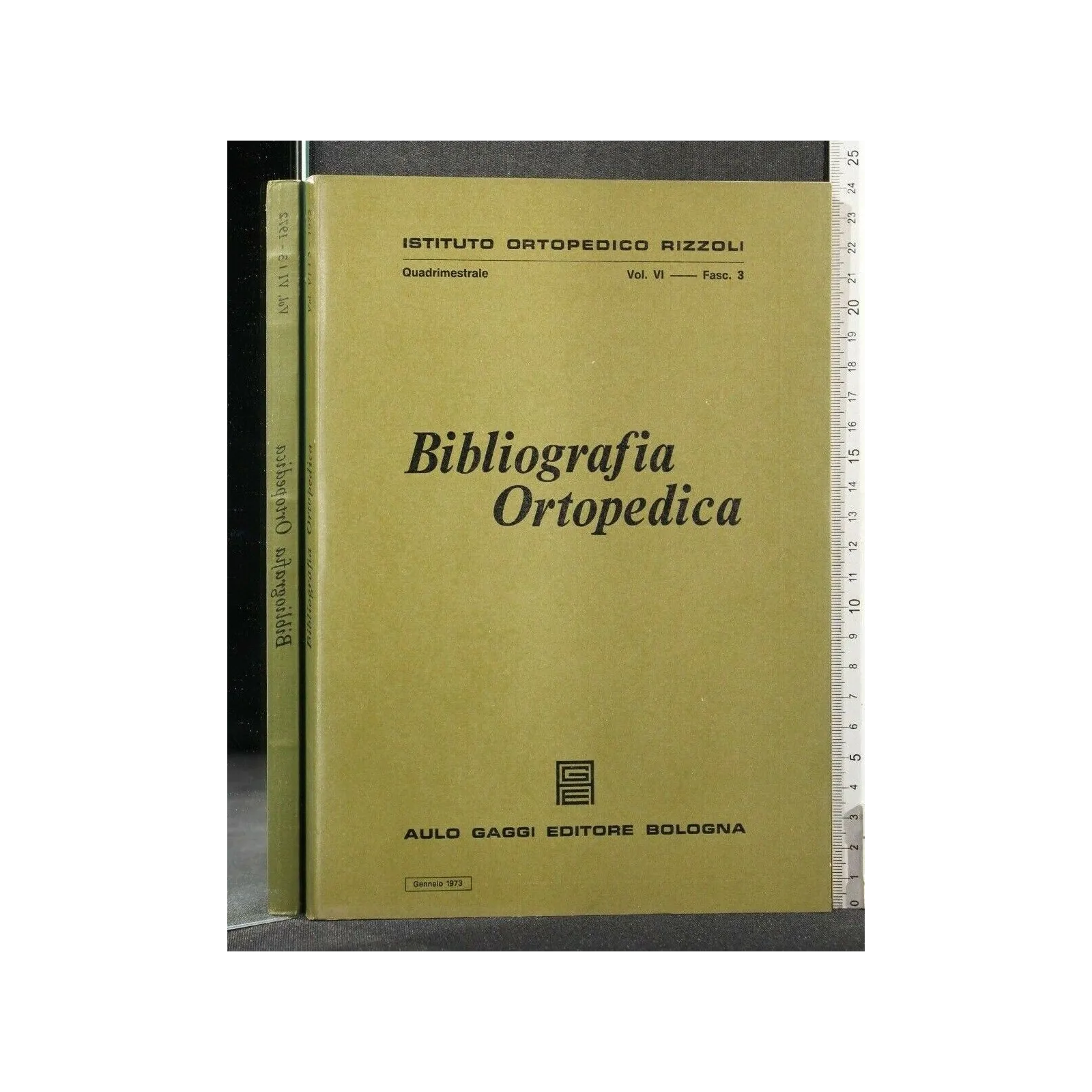 BIBLIOGRAFIA ORTOPEDICA VOL VI FASC 3 GENNAIO 1973