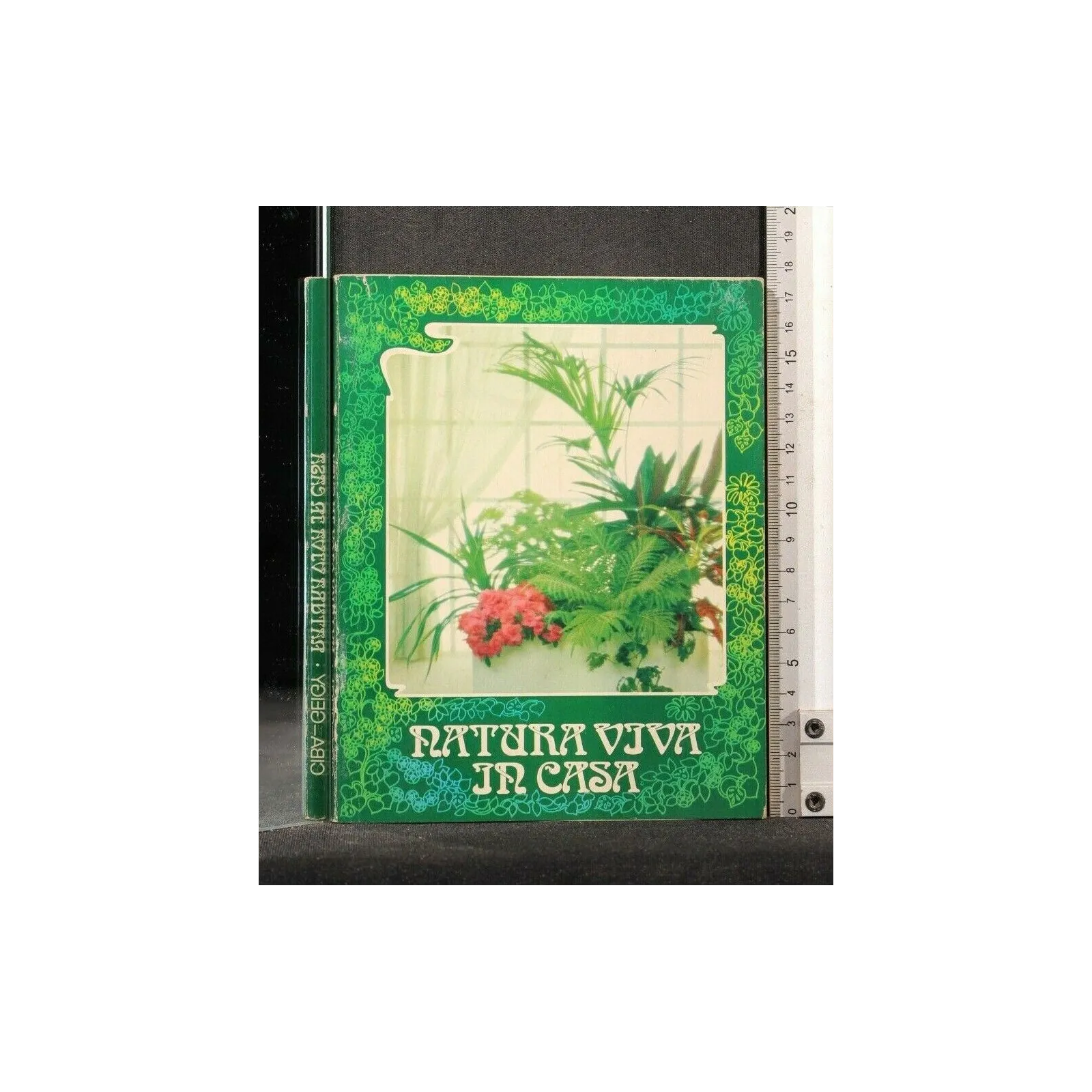 NATURA VIVA IN CASA. CIBA, GEIGY. CALDERINI.