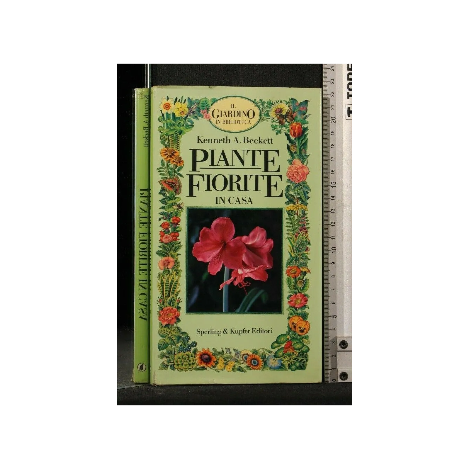 PIANTE FIORITE IN CASA