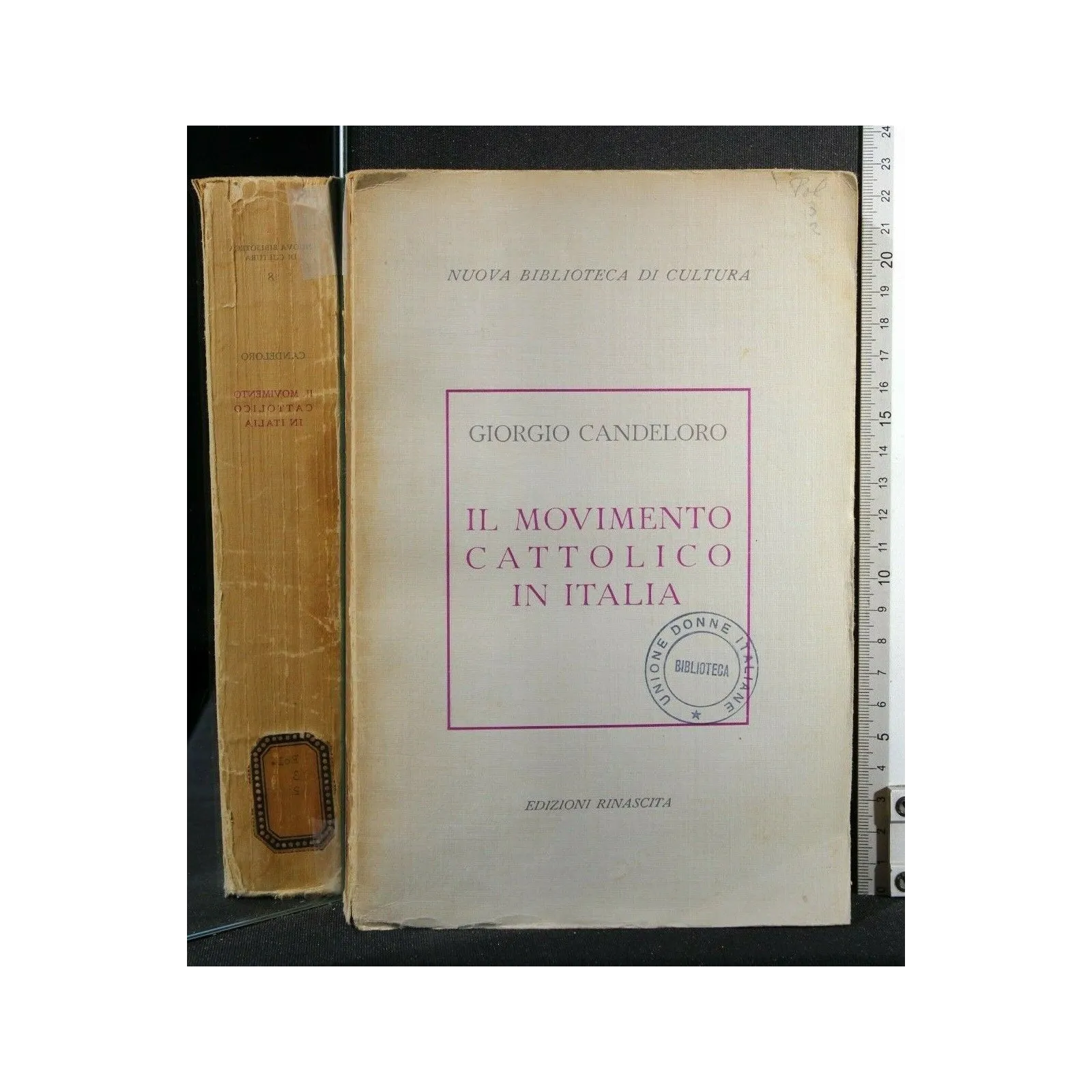 IL MOVIMENTO CATTOLICO IN ITALIA