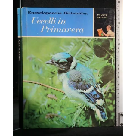 UN LIBRO DAL VERO UCCELLI IN PRIMAVERA