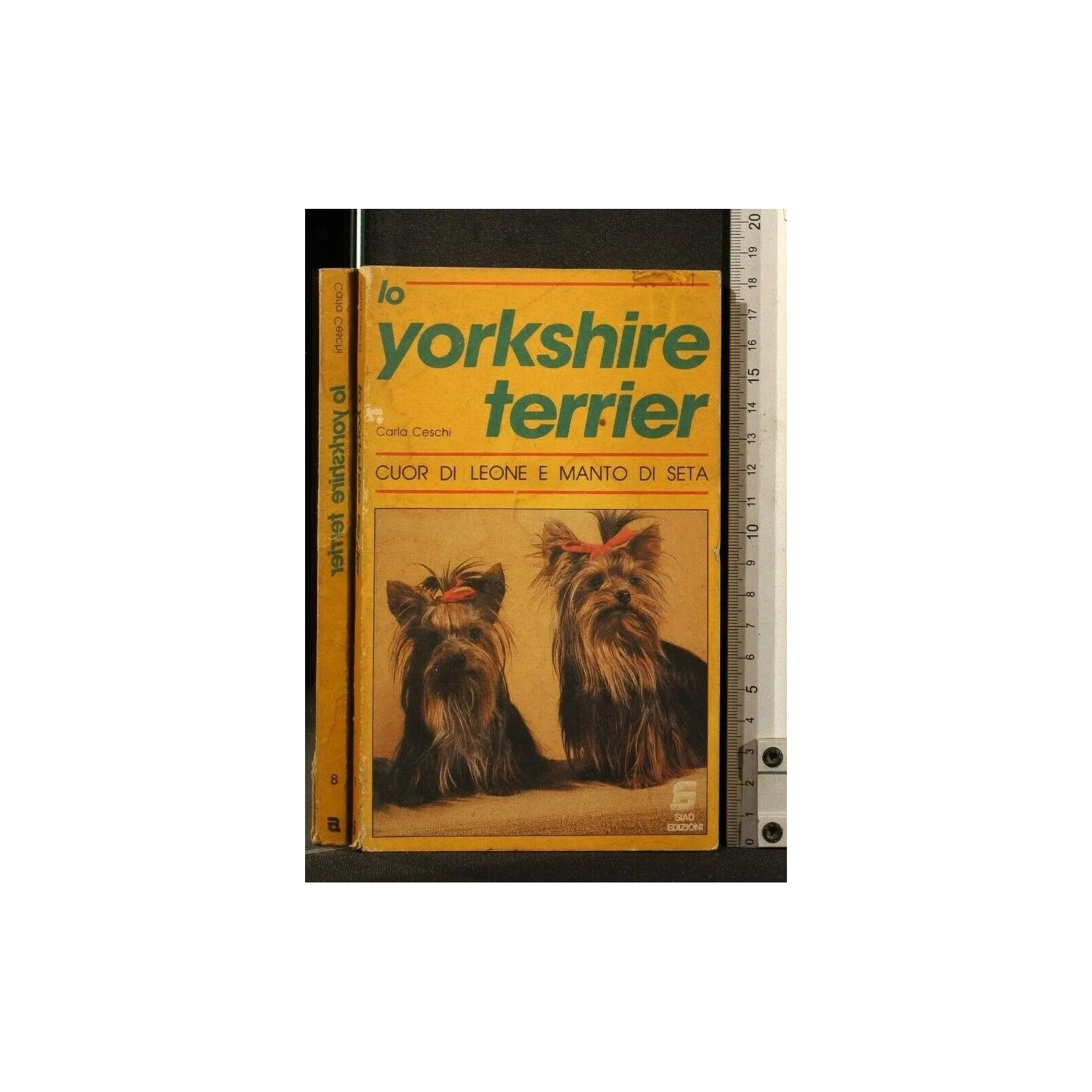 LO YORKSHIRE TERRIER
