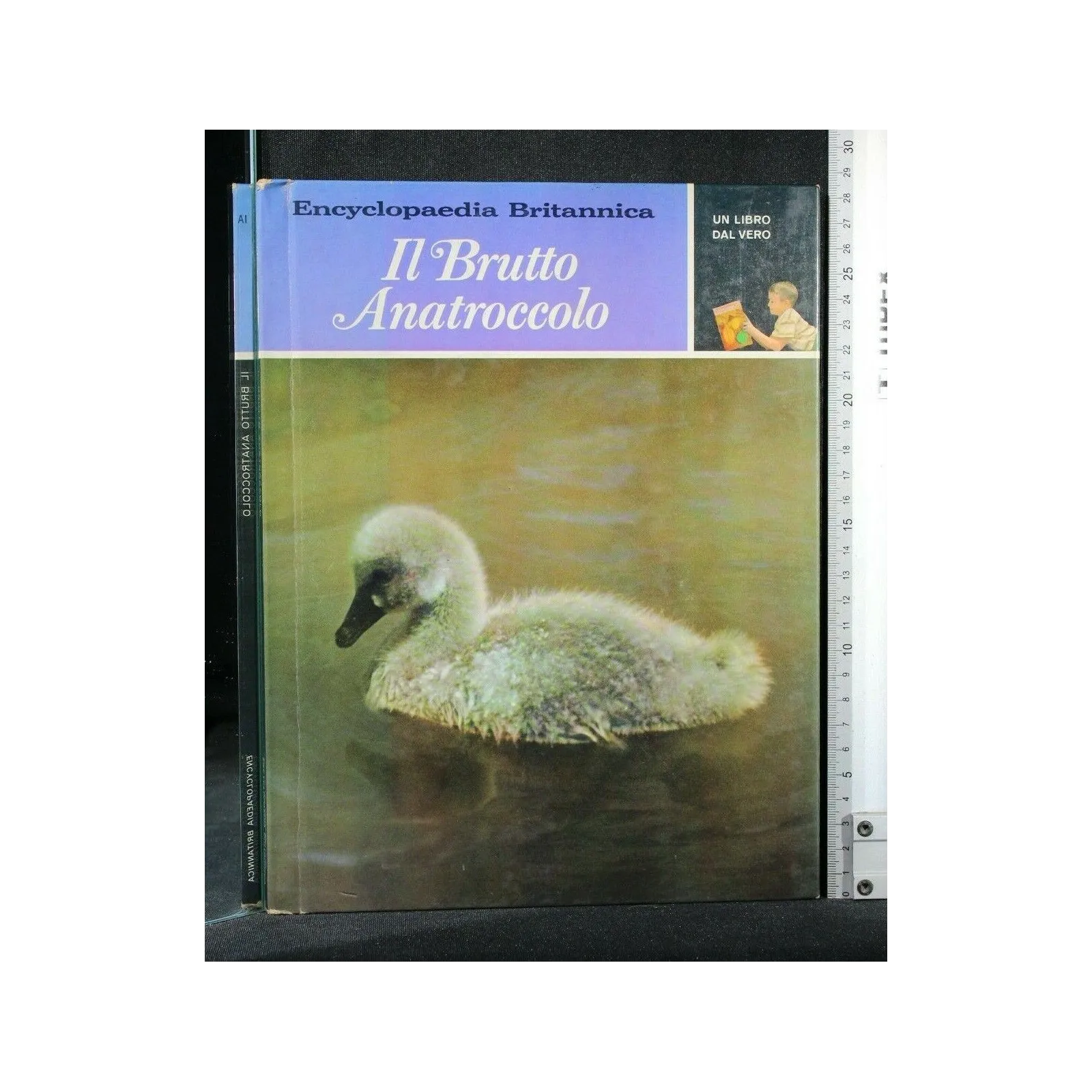 UN LIBRO DAL VERO IL BRUTTO ANATROCCOLO