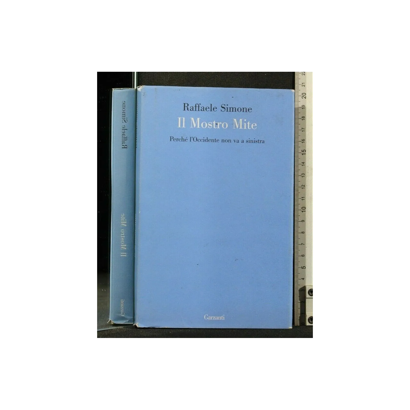 IL MOSTRO MITE PERCHÉ L'OCCIDENTE NON VA A SINISTRA