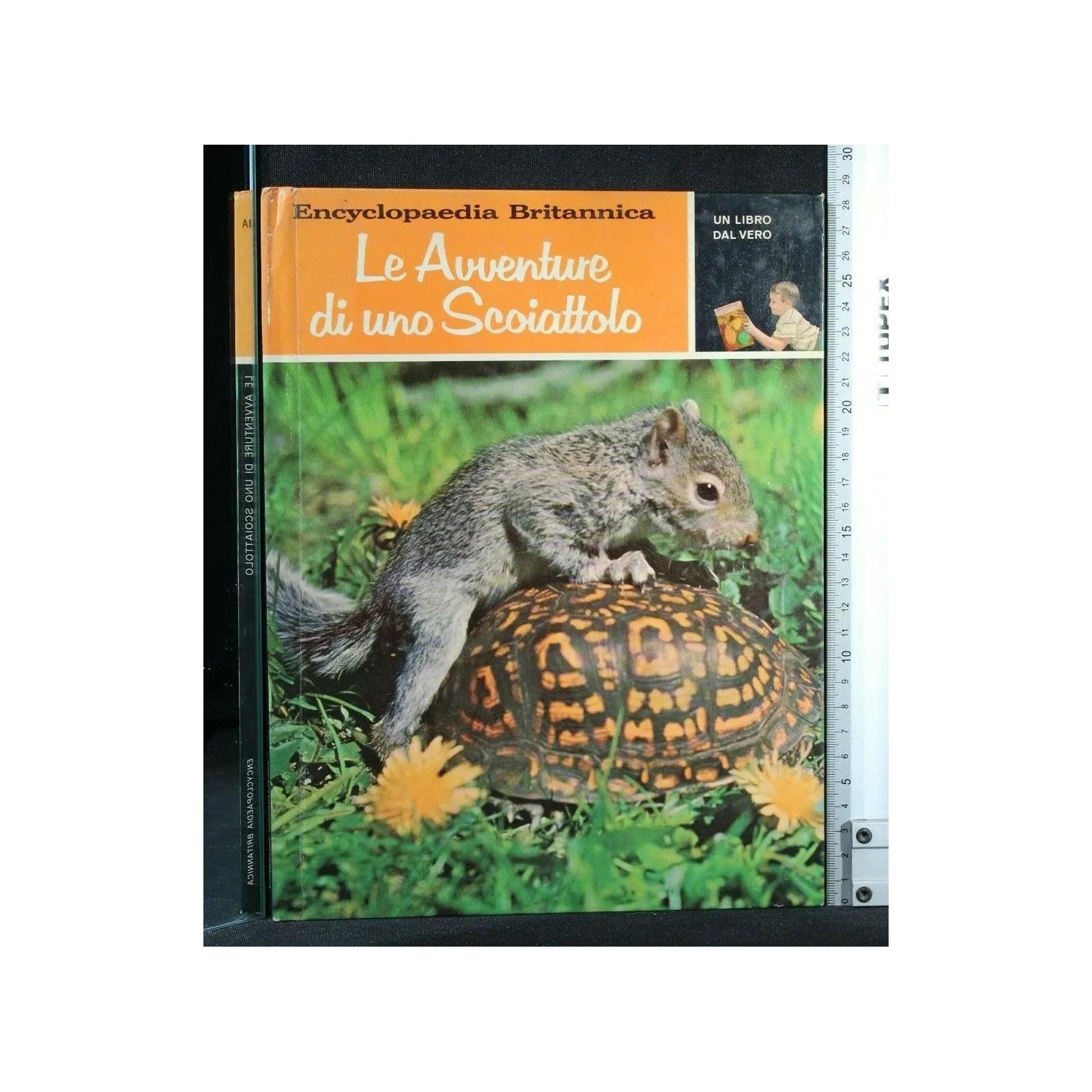 UN LIBRO DAL VERO LE AVVENTURE DI UNO SCOIATTO