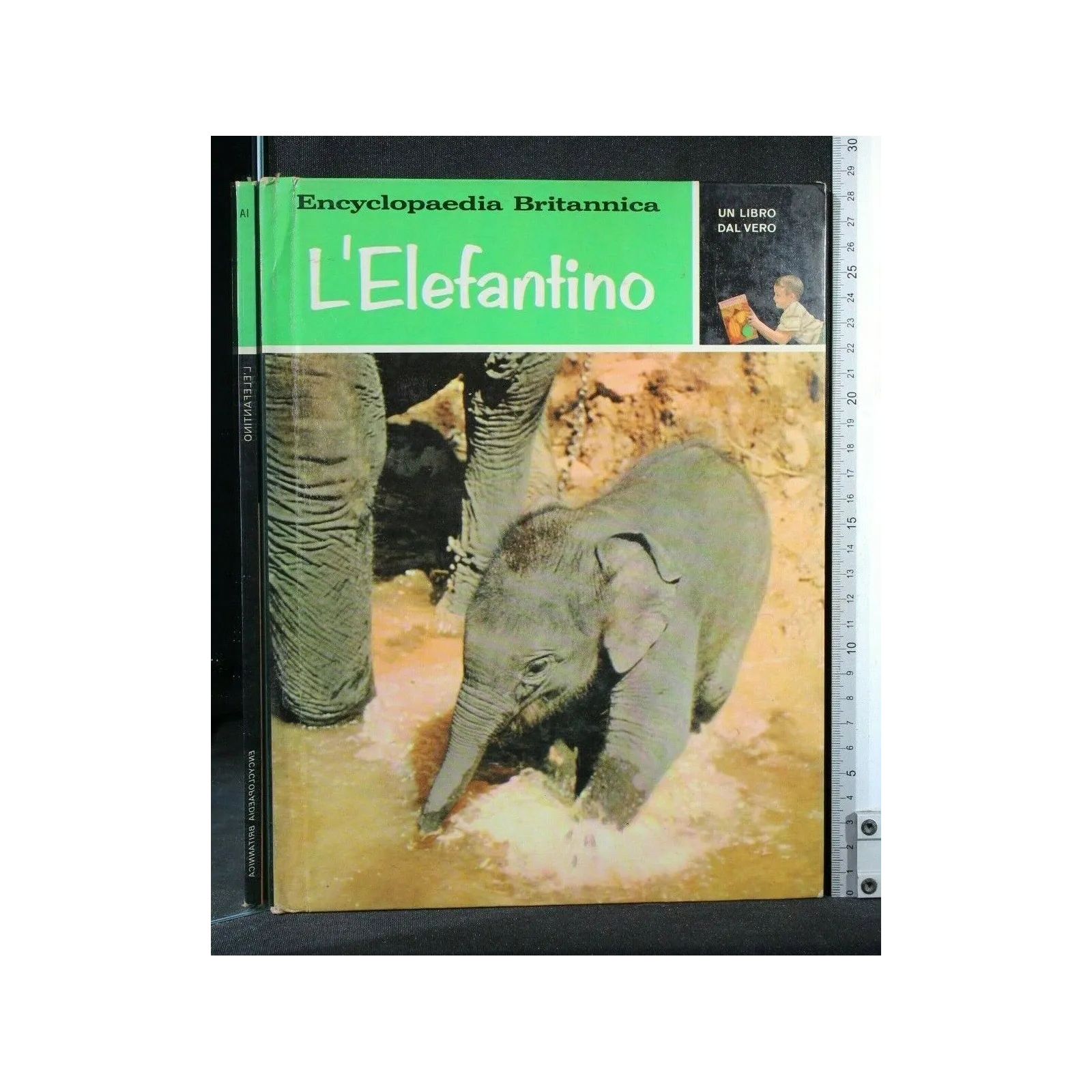 UN LIBRO DAL VERO L'ELEFANTINO