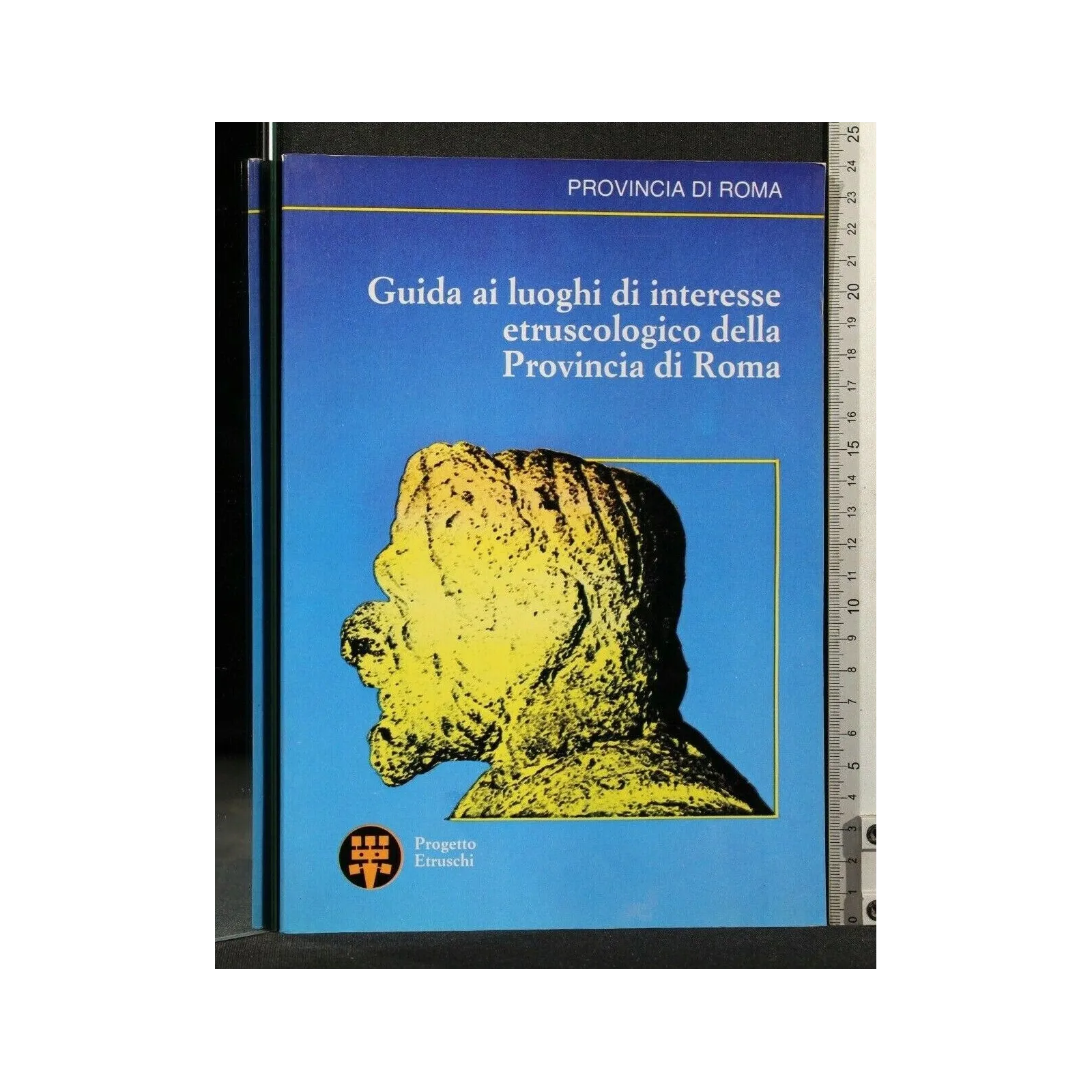 GUIDA AI LUOGHI DI INTERESSE ETRUSCOLOGICO DELLA PROVINCIA DI