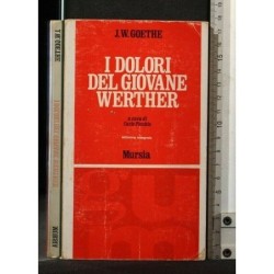 I DOLORI DEL GIOVANE WERTHER