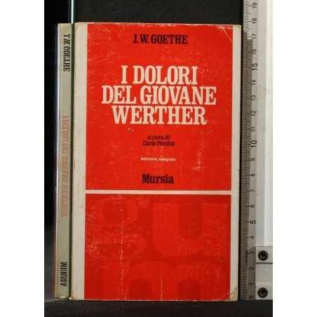 I DOLORI DEL GIOVANE WERTHER