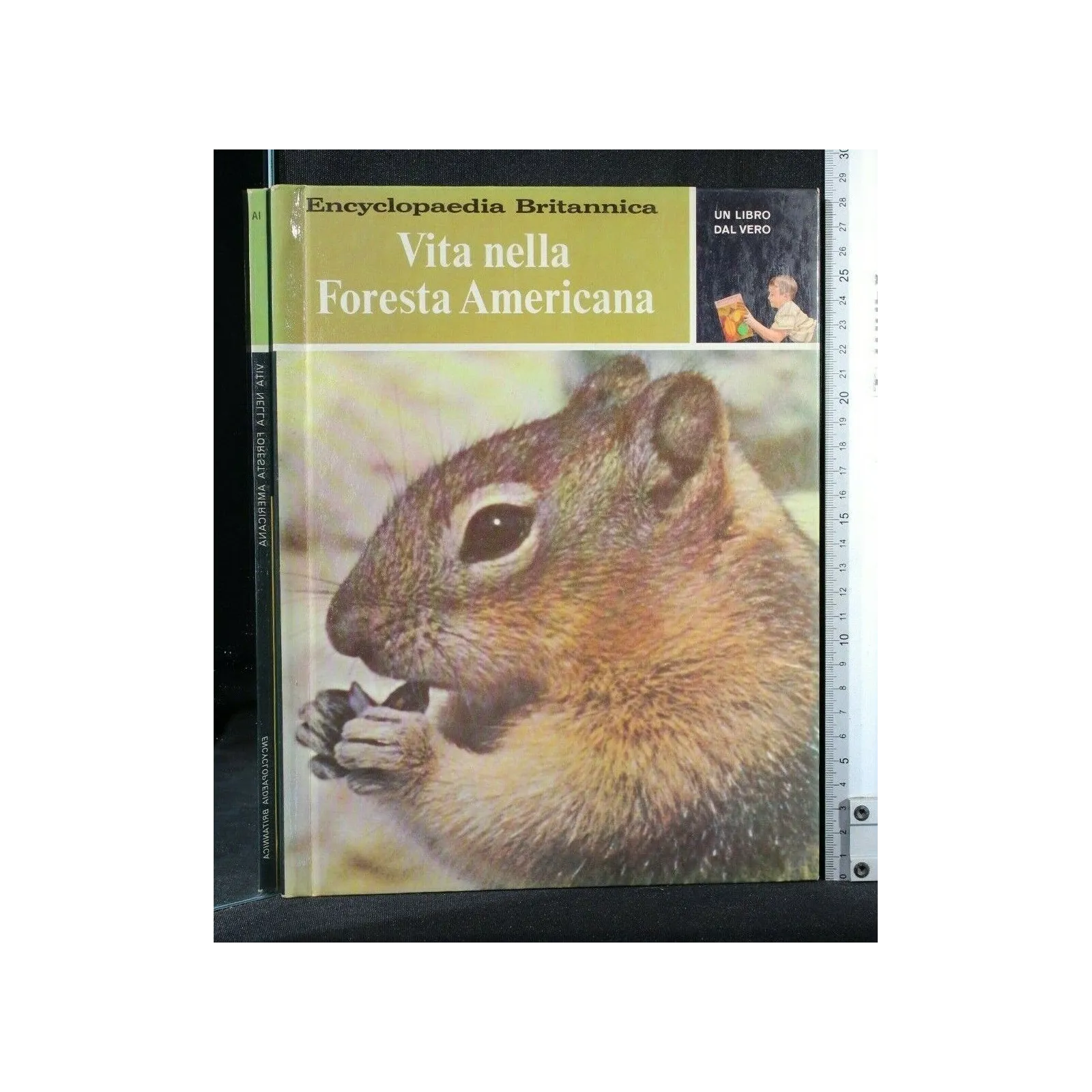 UN LIBRO DAL VERO VITA NELLA FORESTA AMERICANA
