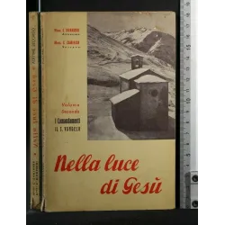 NELLA LUCE DI GESU' VOL 2