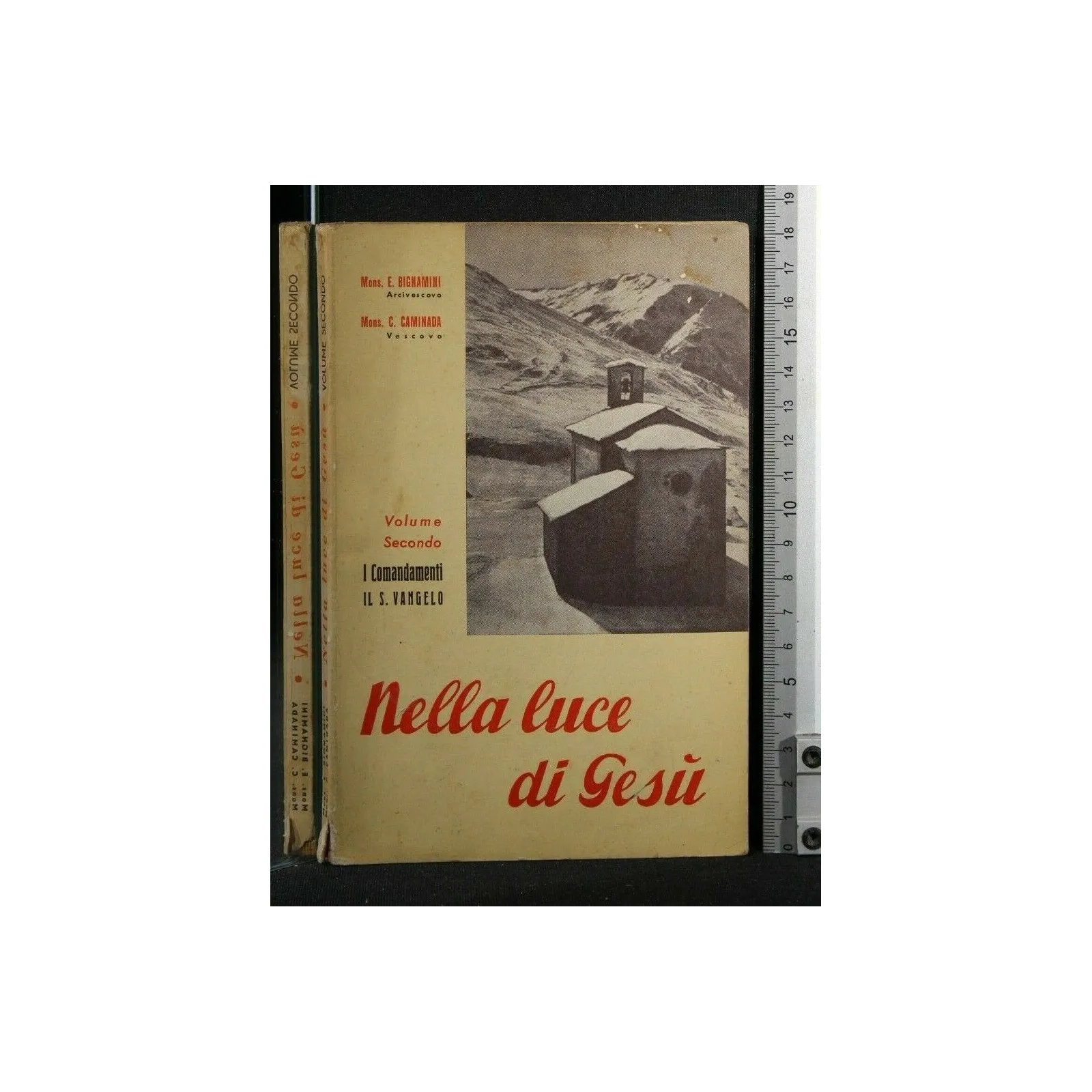 NELLA LUCE DI GESU' VOL 2