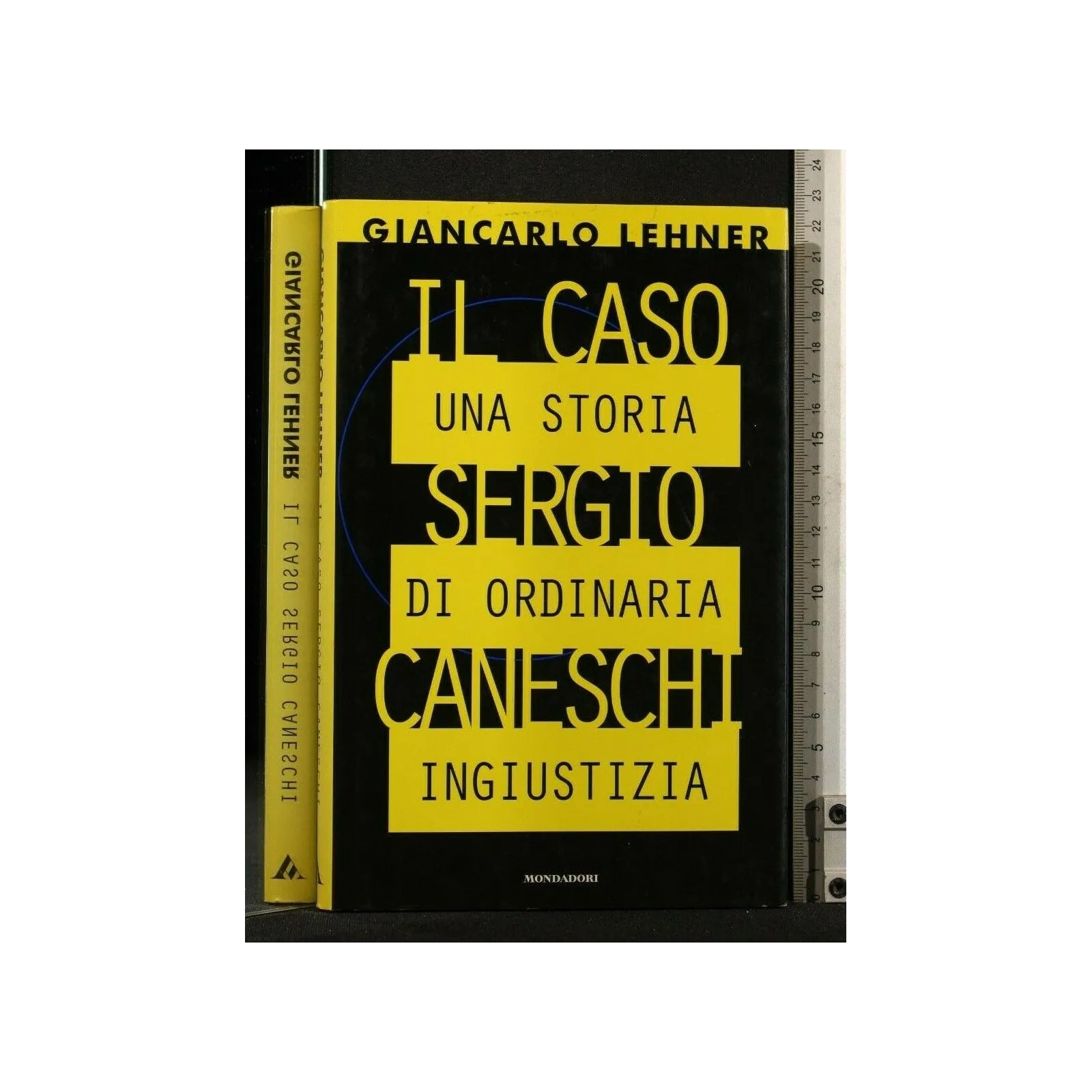IL CASO SERGIO CANESCHI