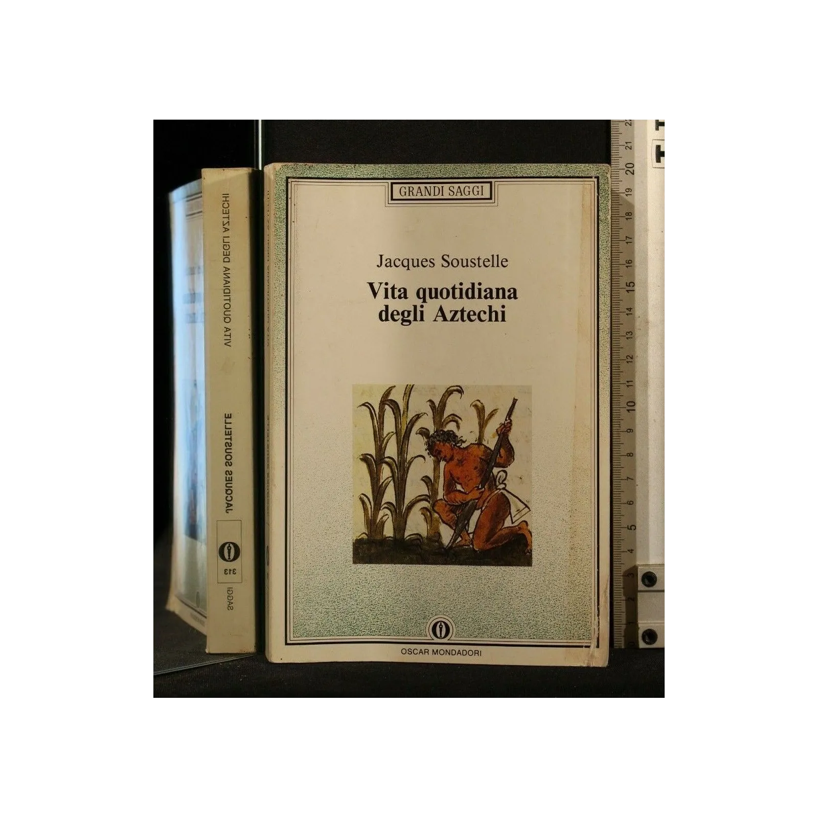 VITA QUOTIDIANA DEGLI AZTECHI