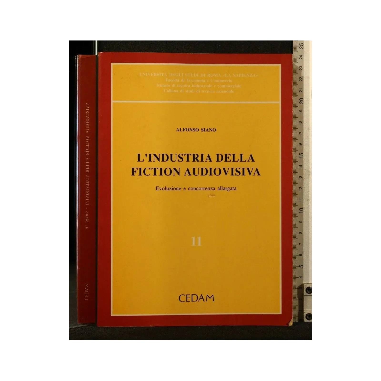 L'INDUSTRIA DELLA FICTION AUDIOVISIVA VOLUME 11