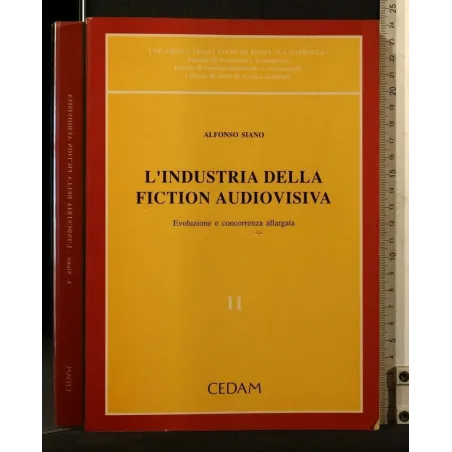L'INDUSTRIA DELLA FICTION AUDIOVISIVA VOLUME 11