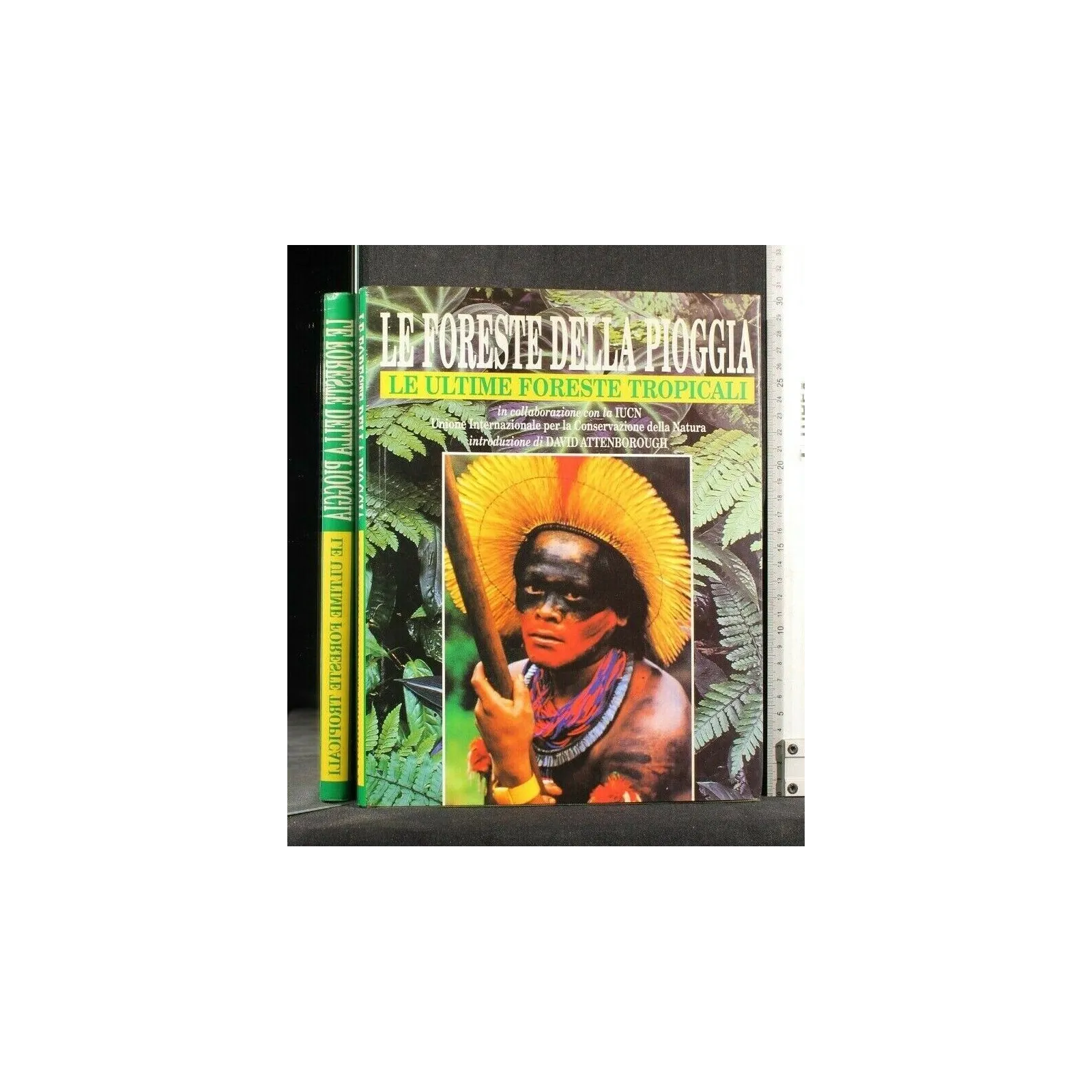 LE FORESTE DELLA PIOGGIA