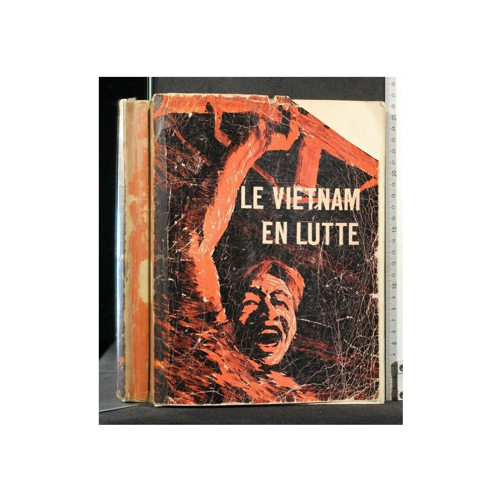 LE VIETNAM EN LUTTE