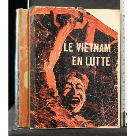 LE VIETNAM EN LUTTE