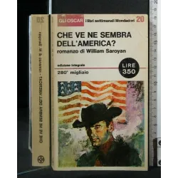 CHE VE NE SEMBRA DELL'AMERICA?