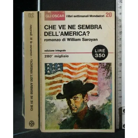 CHE VE NE SEMBRA DELL'AMERICA?