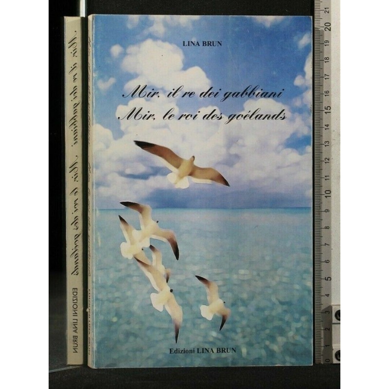 MIR, IL RE DEI GABBIANI